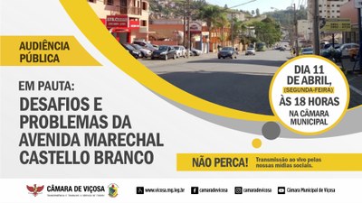Audiência Pública - Desafios e problemas da Avenida Marechal Castello Branco