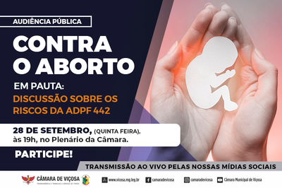 Audiência Pública - Aborto