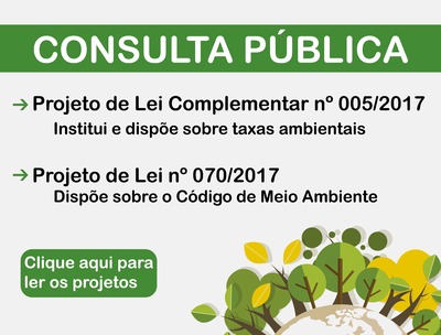 Consulta Pública