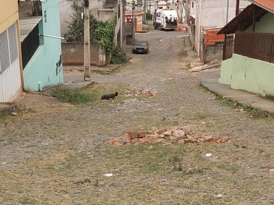 toti imagem