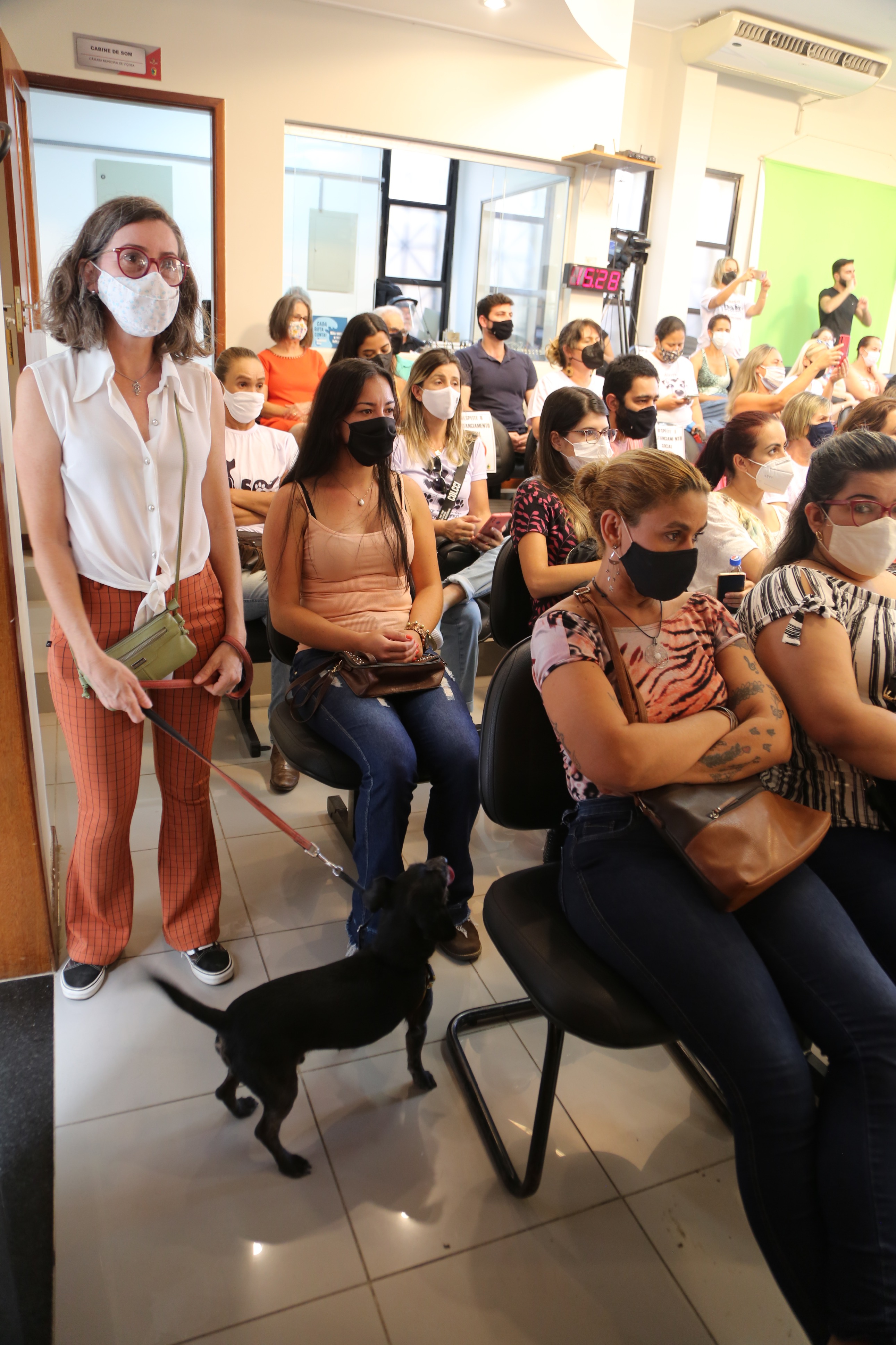 Cachorro acompanhado da dona ao longo da reunião.