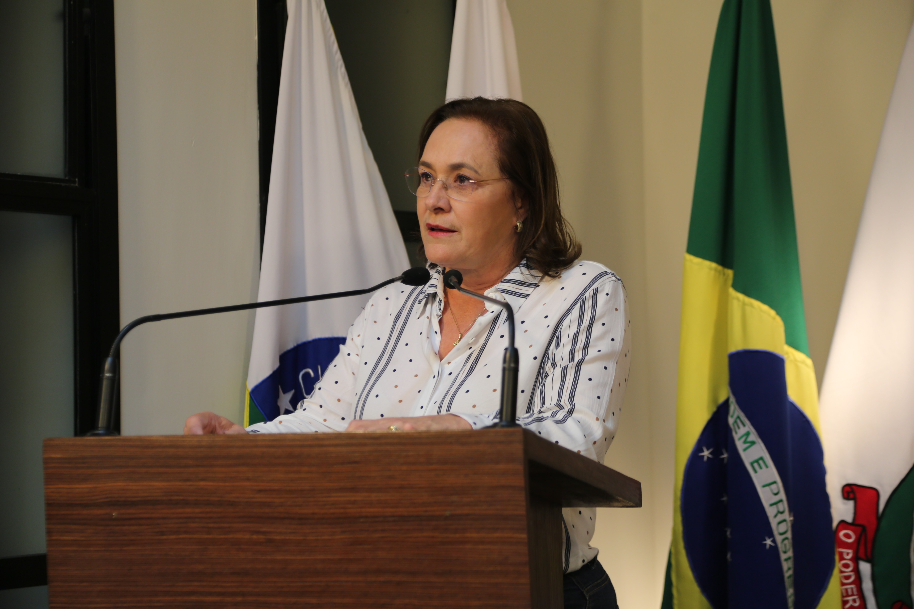 Vereadora Vanja Honorina (PSD), Presidente da Comissão de Abastecimento, Indústria, Comércio e Defesa do Consumidor