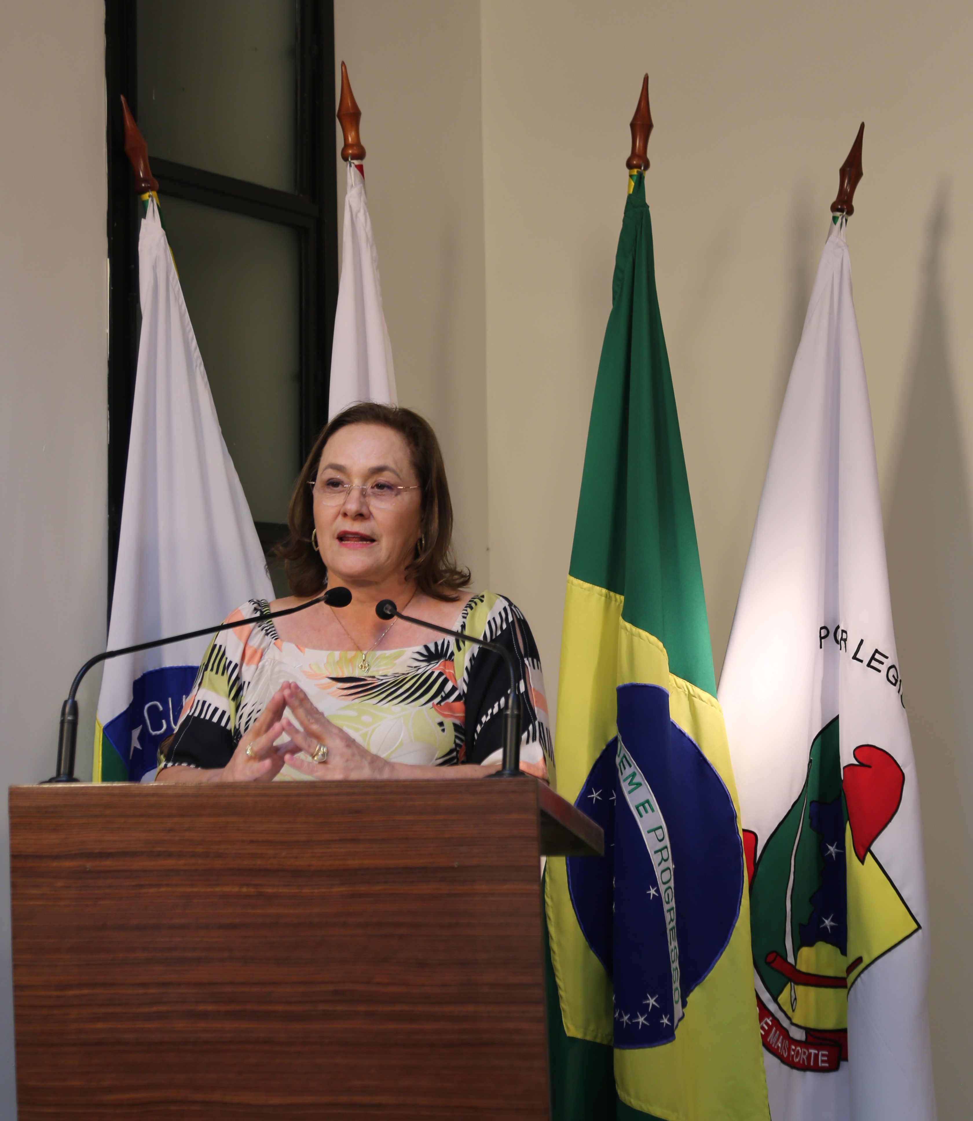 Vereadora Vanja Honorina (PSD), Presidente da Comissão de Abastecimento, Indústria, Comércio e Defesa do Consumidor