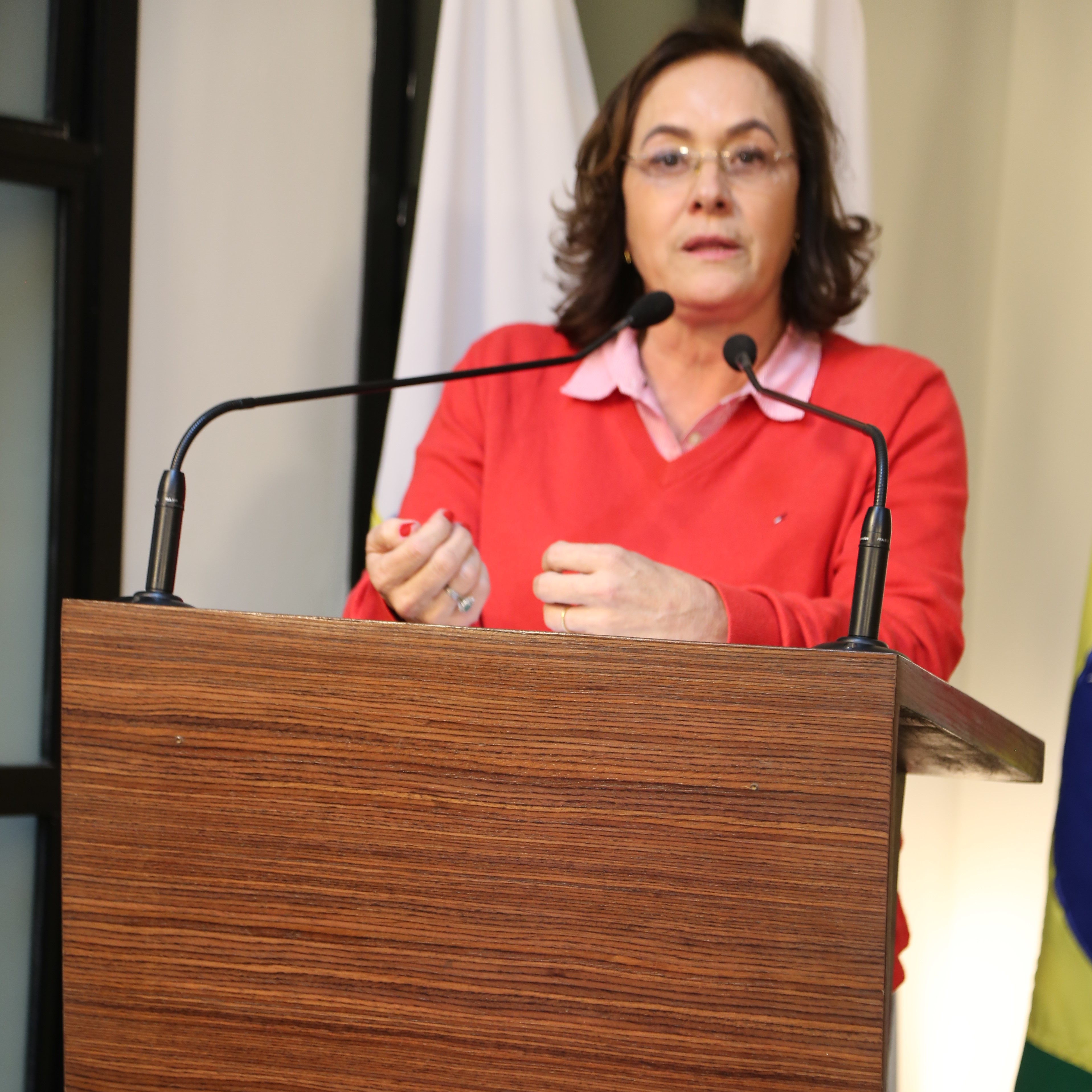 Vereadora Vanja Honorina (PSD), Presidente da Comissão de Abastecimento, Indústria, Comércio e Defesa do Consumidor