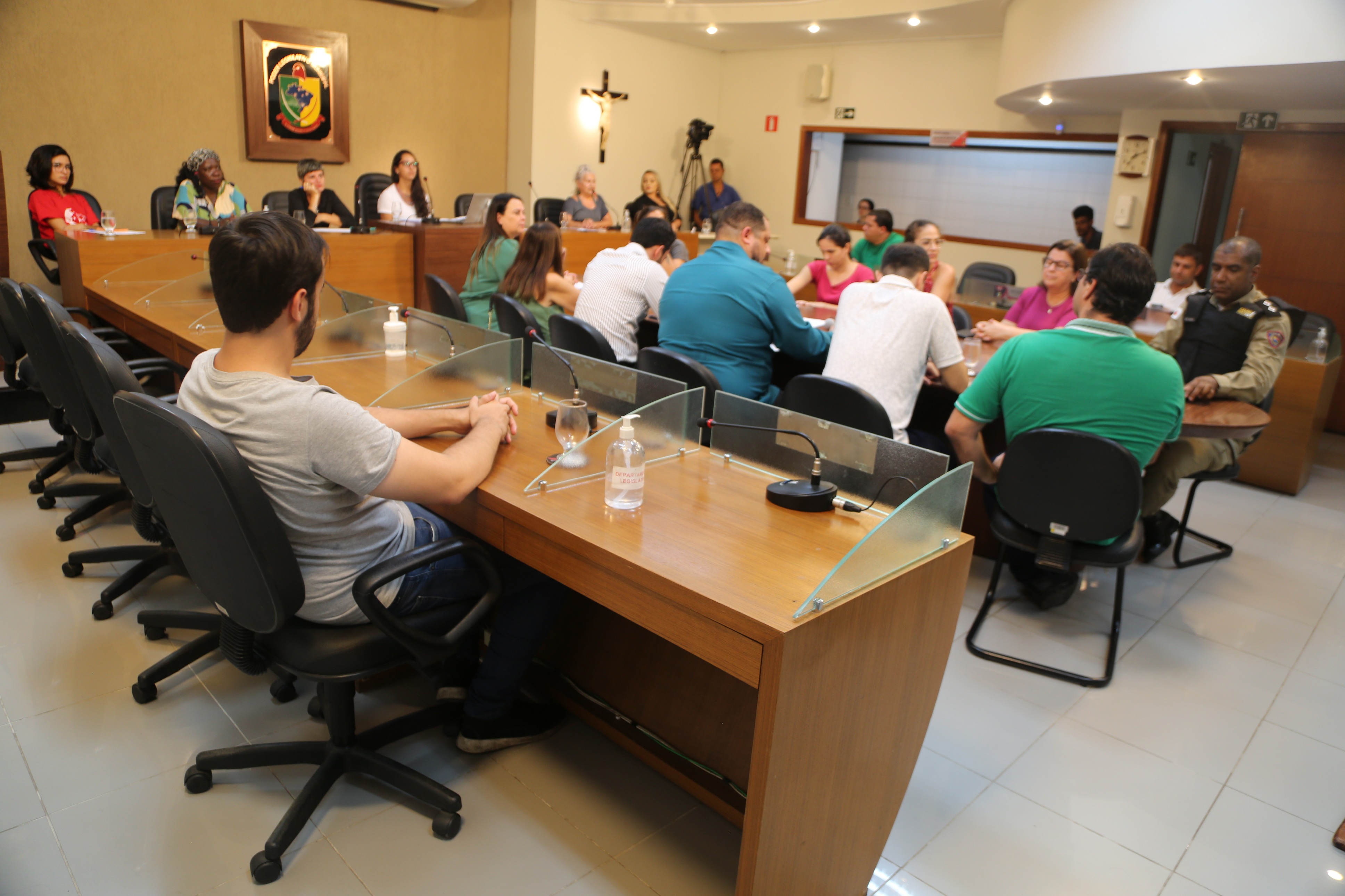 Na Mesa Central estavam Letícia Bergo, representante do Coletivo Feminista Classista Ana Montenegro; Maria de Fátima Teixeiras, representante da ADAV (Associação das Artesãs de Viçosa), Rita de Cássia Fialho, Secretária Municipal de Desenvolvimento Econômico, Ciência e Tecnologia; Vera Sônia Saraiva, ex-vereadora e Secretária Municipal de Assistência Social; Rainério Rodrigues, Secretário Municipal de Saúde; Dionísio de Souza, Secretário Municipal de Fazenda; Luan Campos, Secretário Municipal de Administração e Planejamento Estratégico; Valdinei Da Silva Araújo, Secretário Municipal de Finanças e representando o comandante da Policia Militar, o tenente Paulo Roberto da Silva e Dídima Bastos, Presidente da Ordem dos Advogados do Brasil de Viçosa. Além dos vereadores Daniel Cabral (PCdoB), Vice-Presidente da Casa, Marco Cardoso (Marcão Paraíso) (PSDB) e Marcos Fialho (sem partido), que ocuparam as cadeiras laterais.