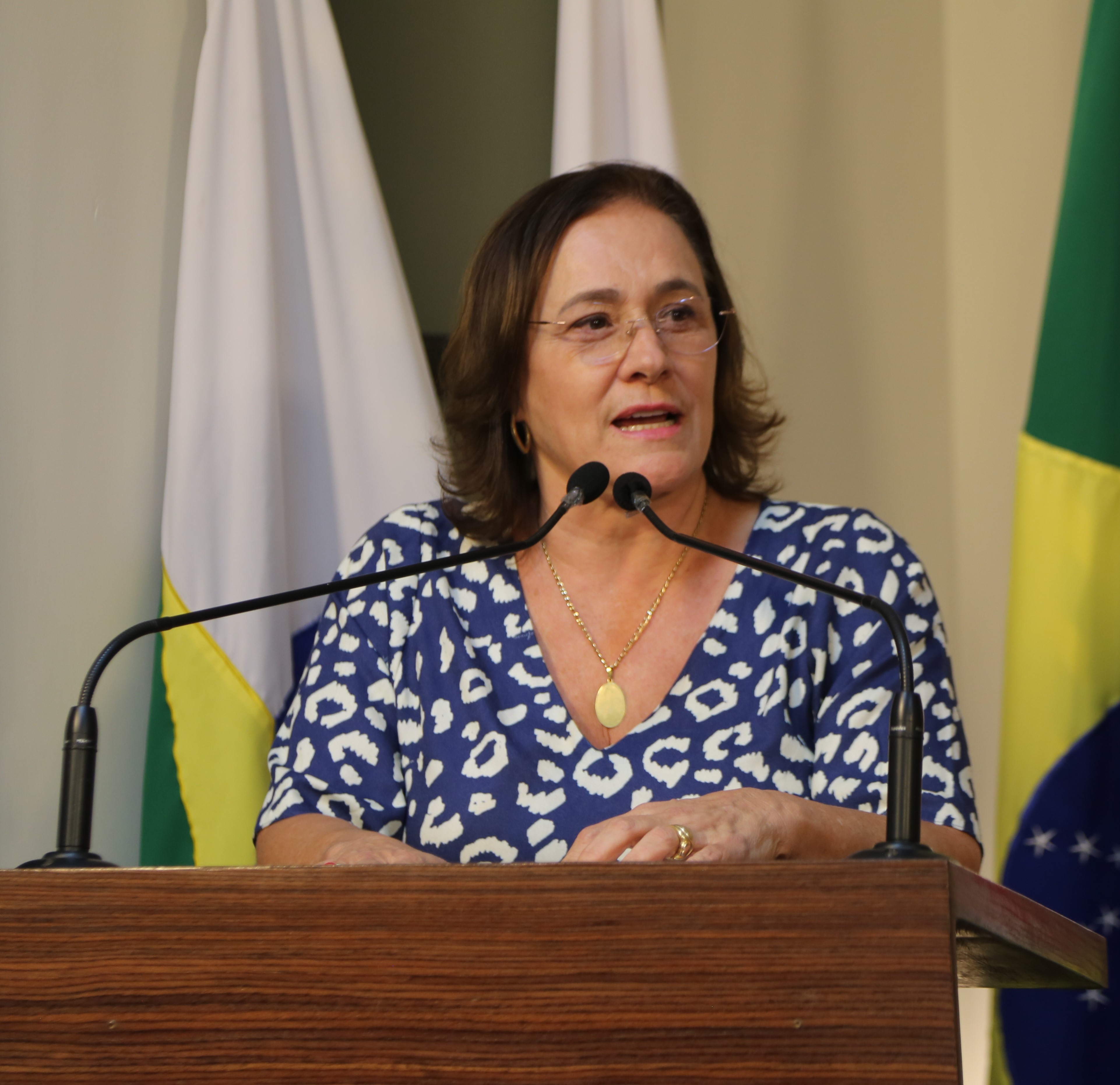 Vereadora Vanja Honorina (PSD) Presidente da Comissão de Abastecimento, Indústria, Comércio e Defesa do Consumidor