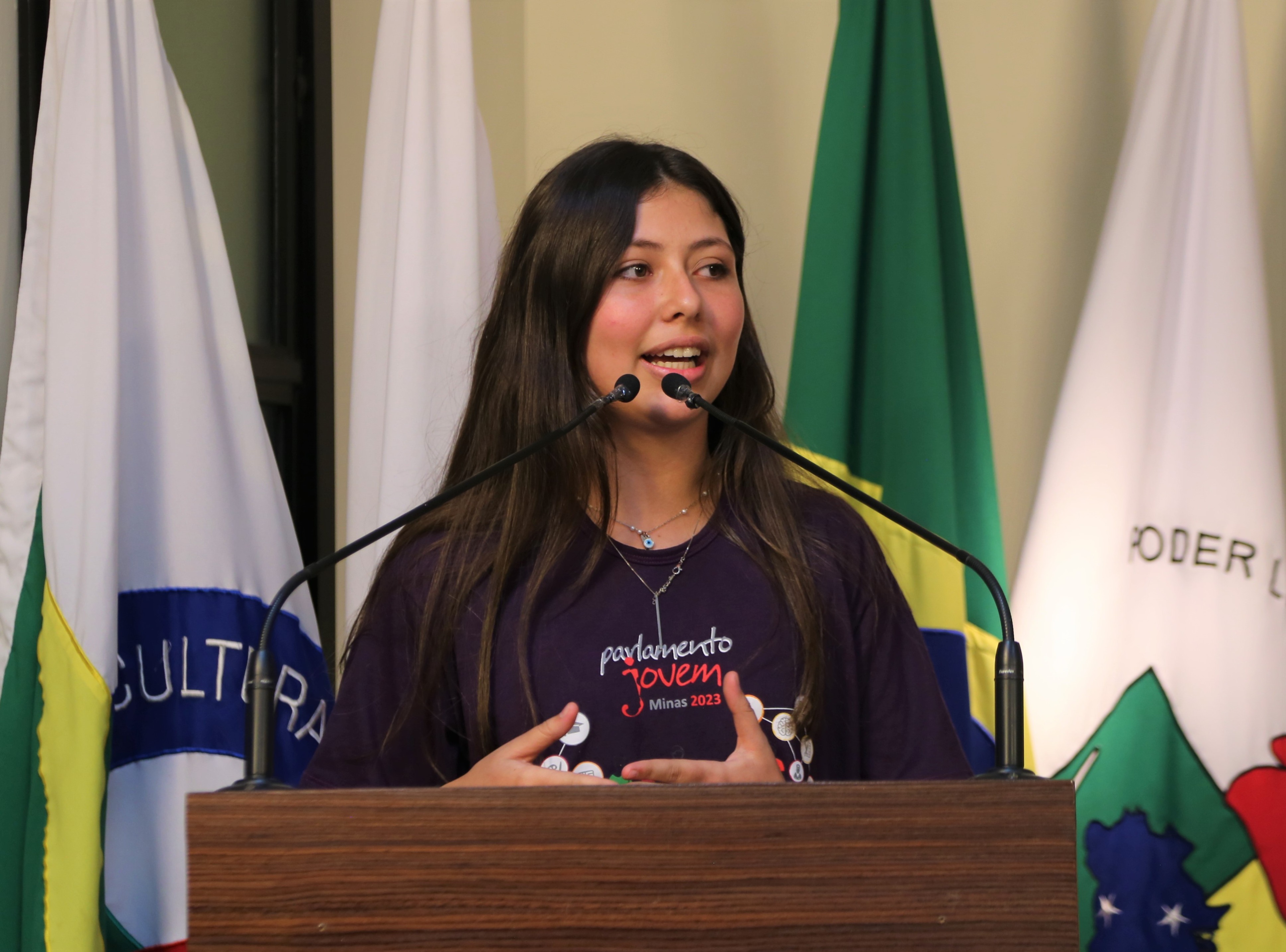 Escola do Legislativo  Apresentação da Plenária Regional do Parlamento Jovem