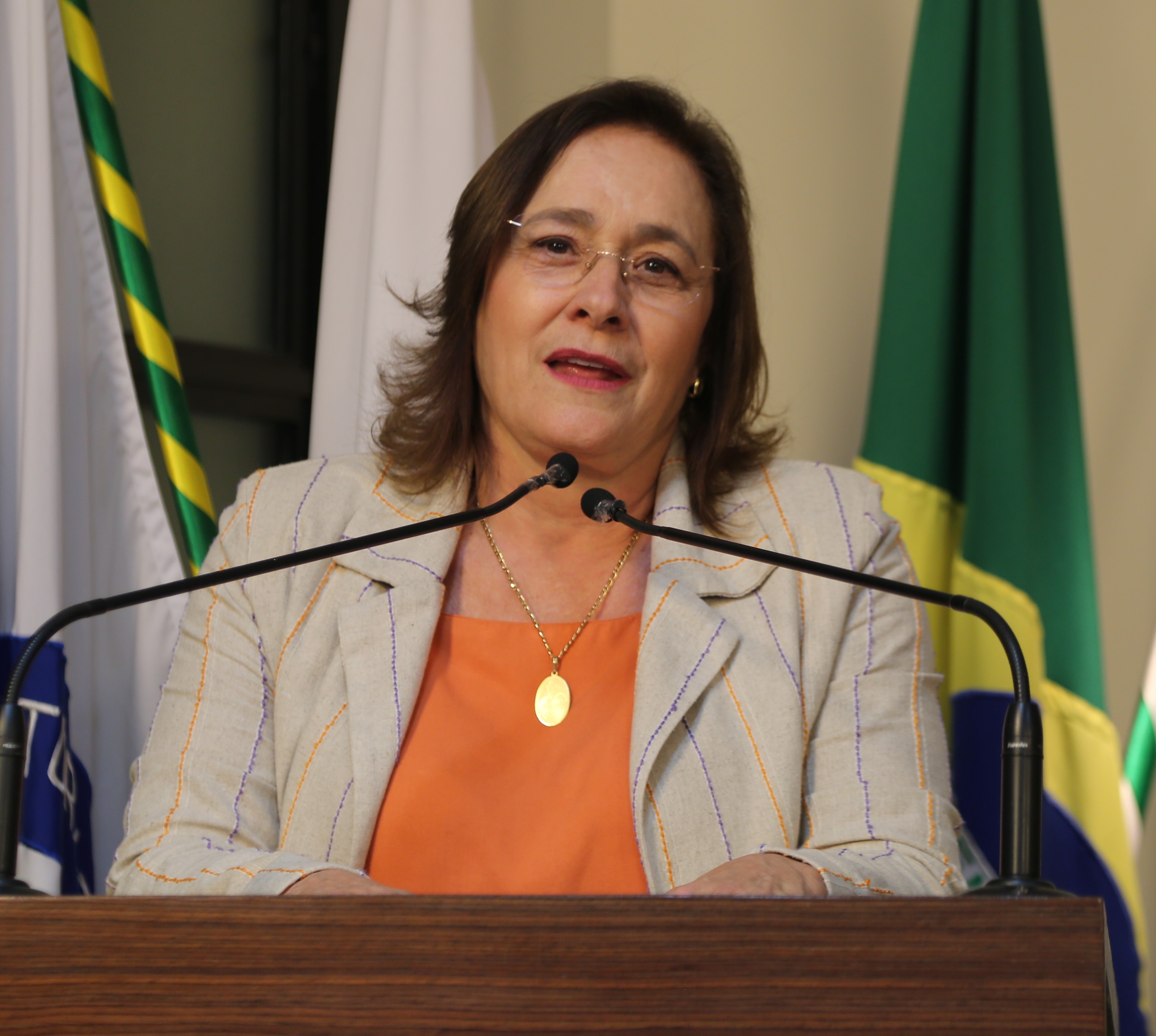 Vereadora Vanja Honorina (PSD) Presidente da Comissão de Abastecimento, Indústria, Comércio e Defesa do Consumidor