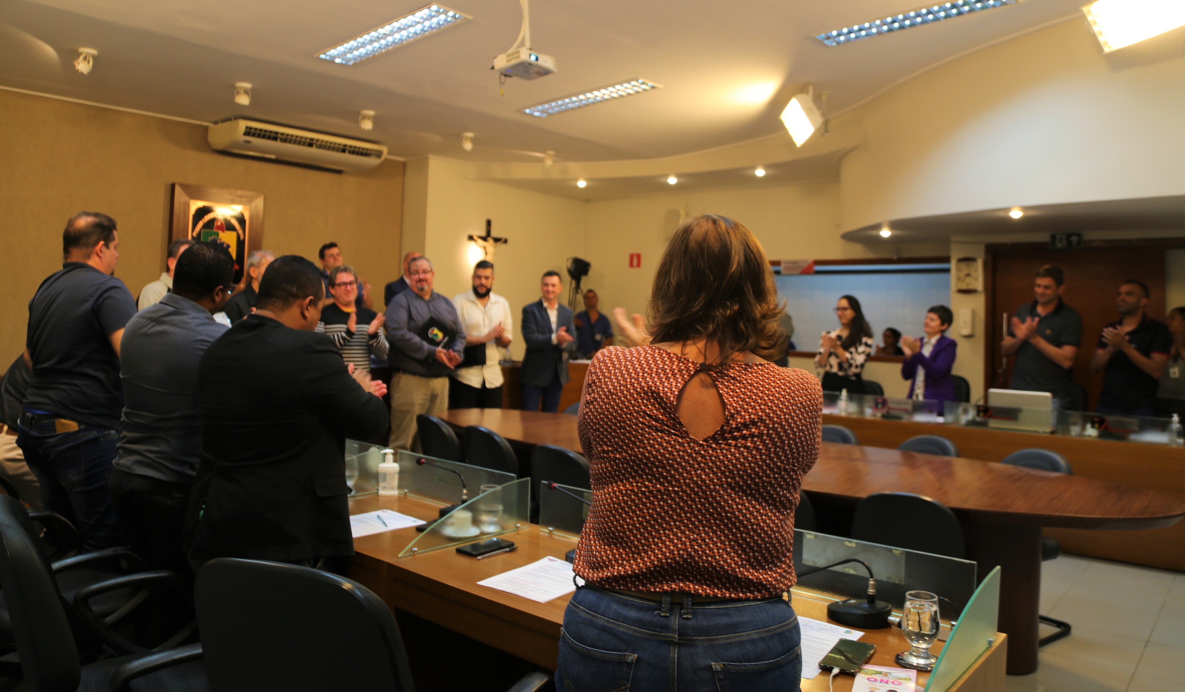 Parlamentares aplaudem de pé a Comissão do Plano Diretor pelo profissionalismo, empenho e dedicação ao projeto.