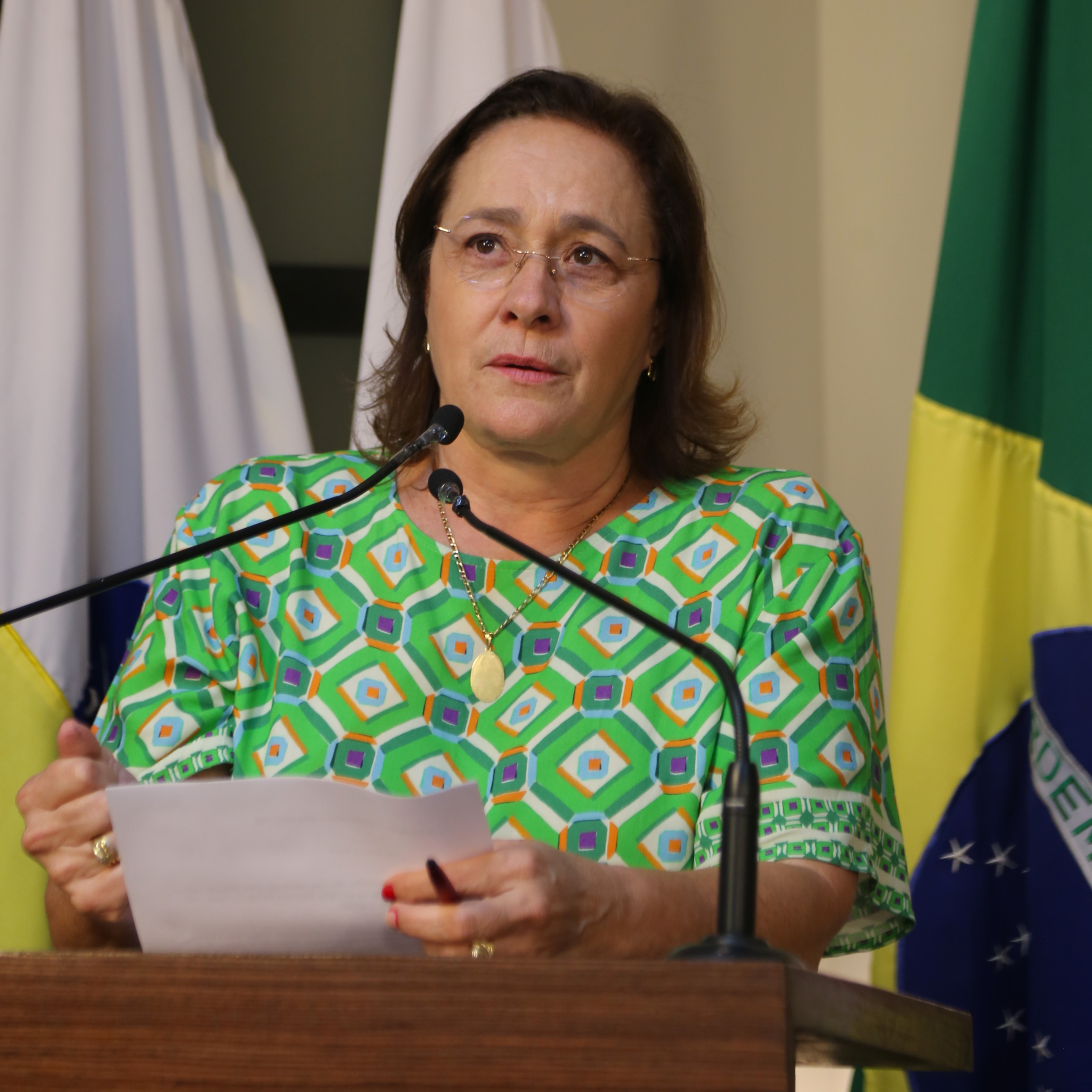 Vereadora Vanja Honorina (PSD) Presidente da Comissão de Abastecimento, Indústria, Comércio e Defesa do Consumidor