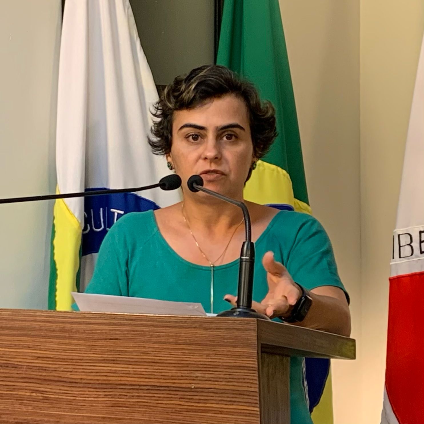 Tribuna Livre Ana Flávia - Conselho das Mulheres