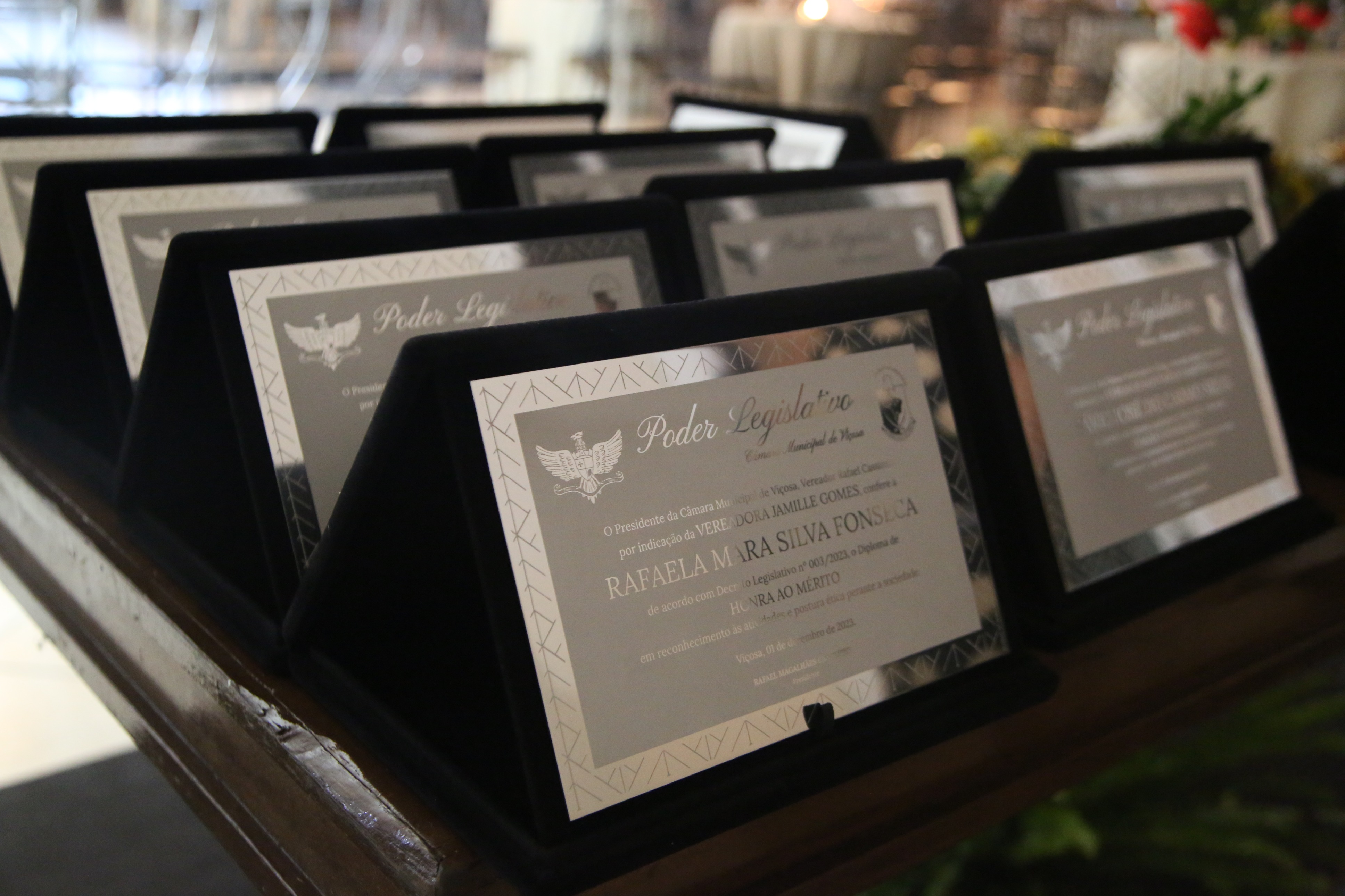 Placas entregues aos homenageados de acordo com o Decreto Legislativo nº 003/2023.