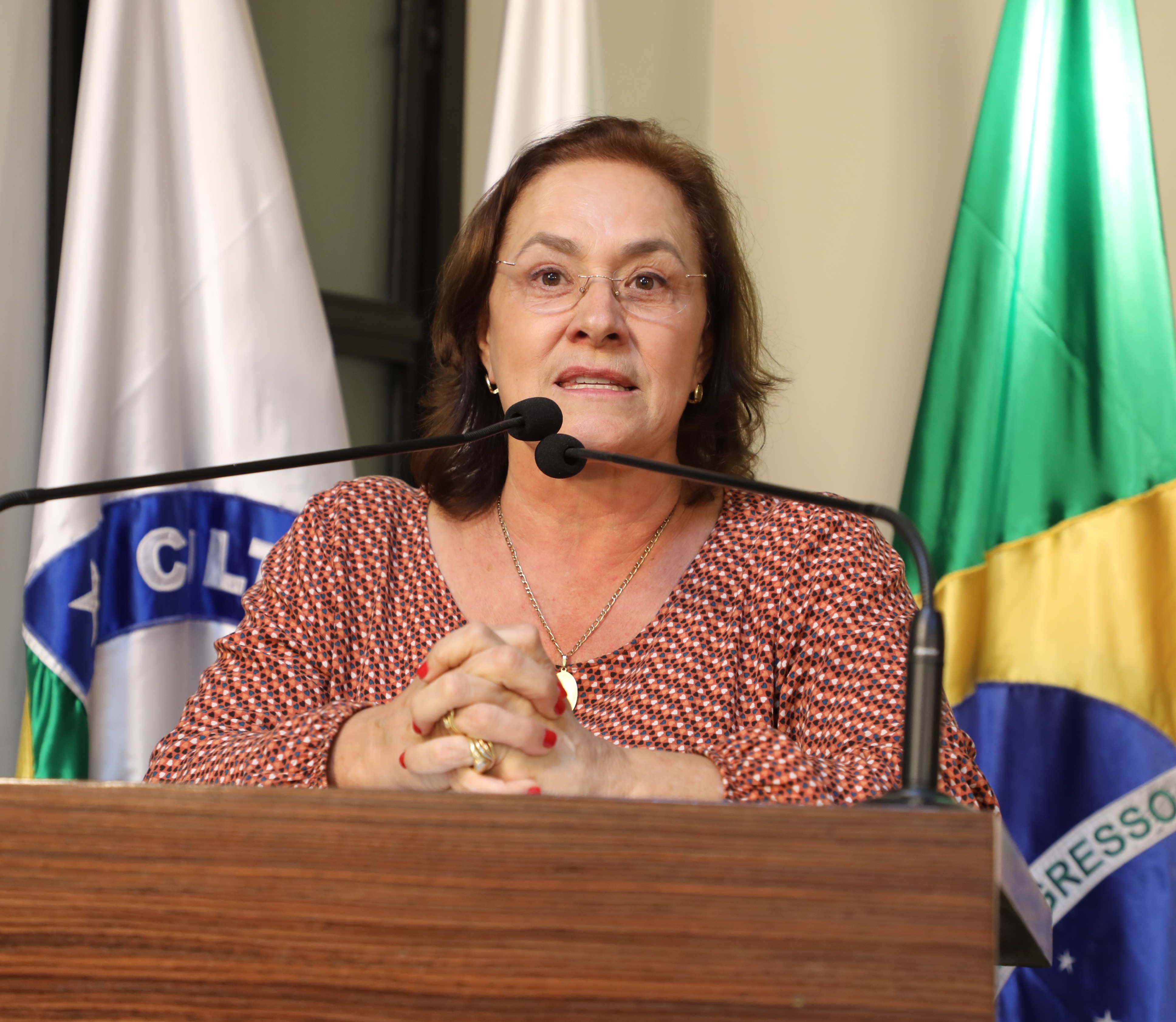 Vereadora Vanja Honorina (UNIÃO) Presidente da Comissão de Abastecimento, Indústria, Comércio e Defesa do Consumidor
