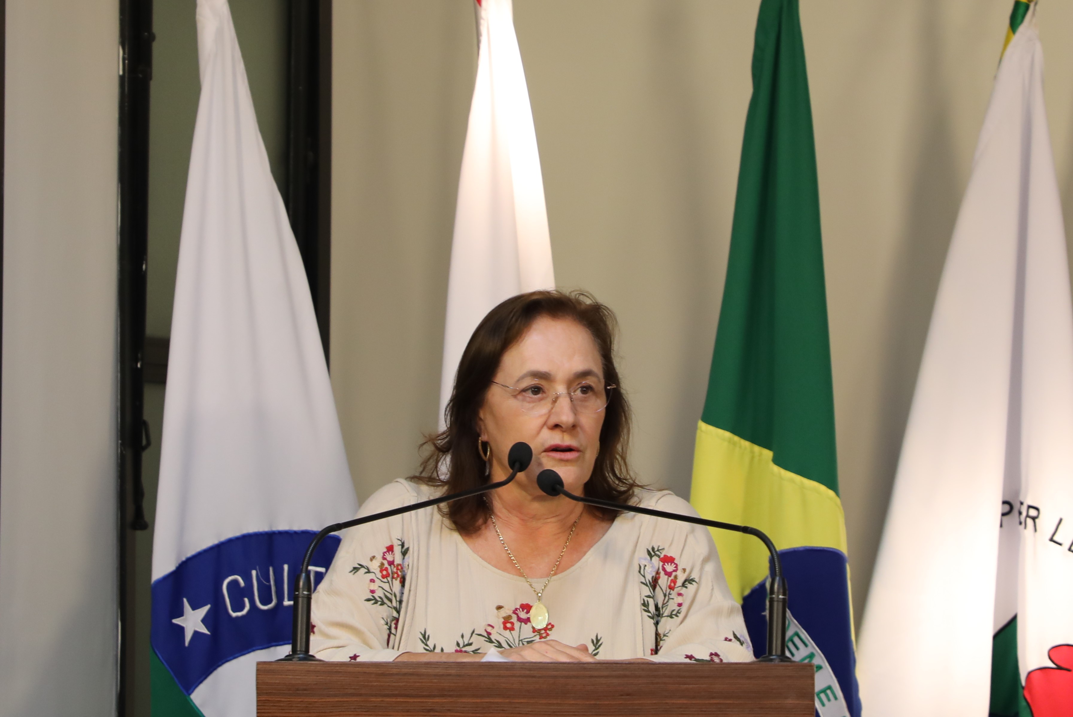 Vereadora Vanja Honorina (União)