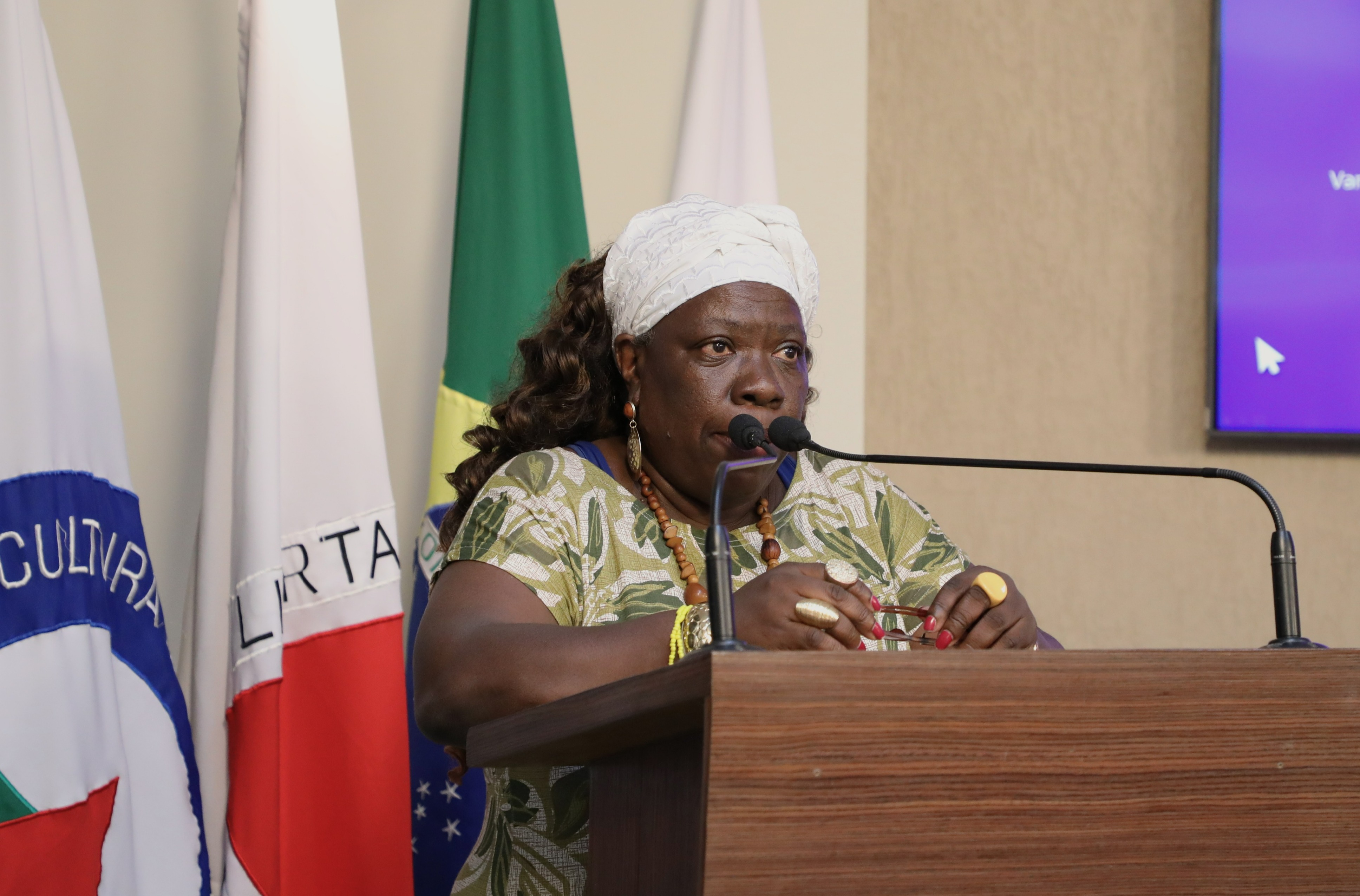 Tribuna livre - Terezinha de Jesus Ferreira