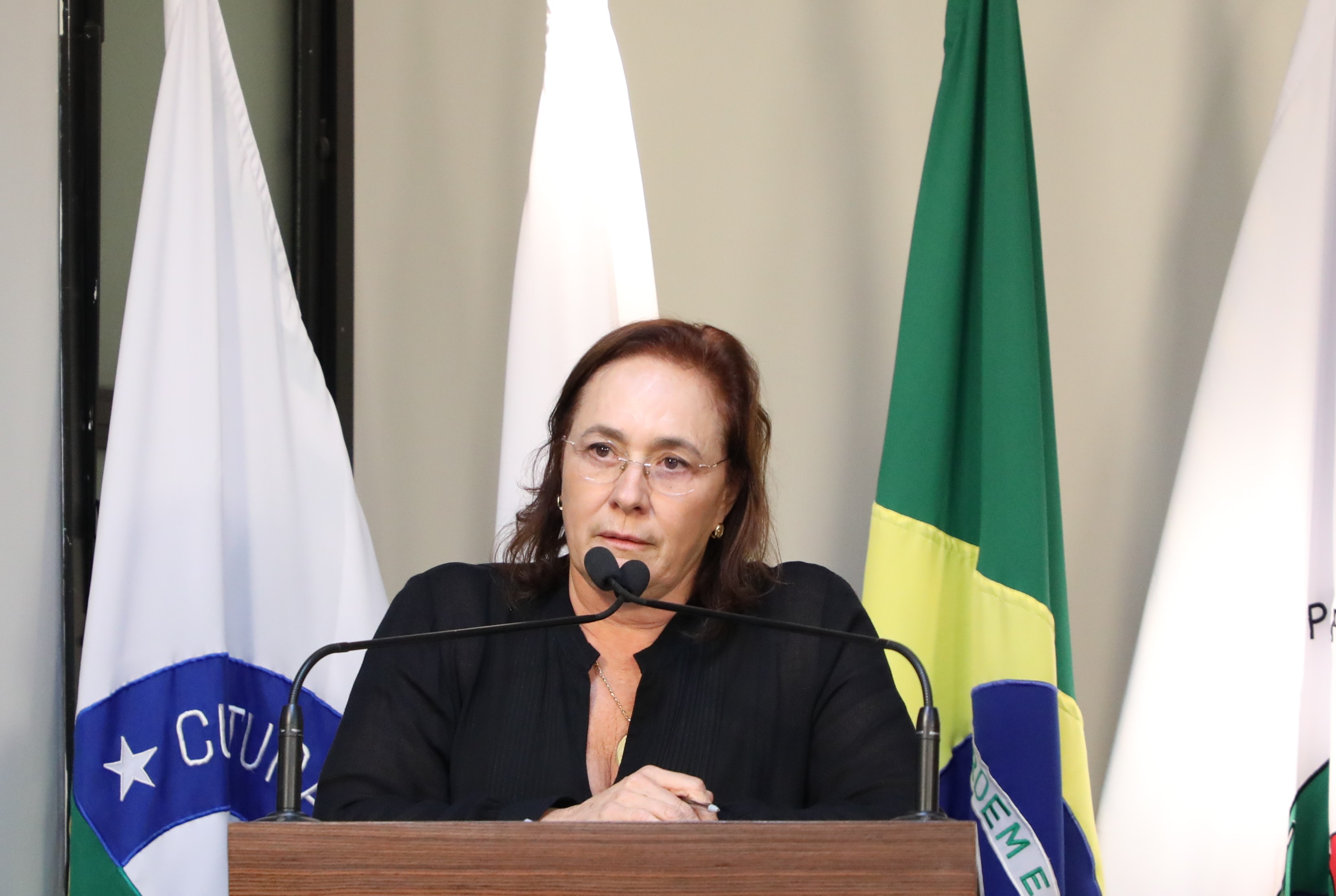 Vereadora Vanja Honorina (União)