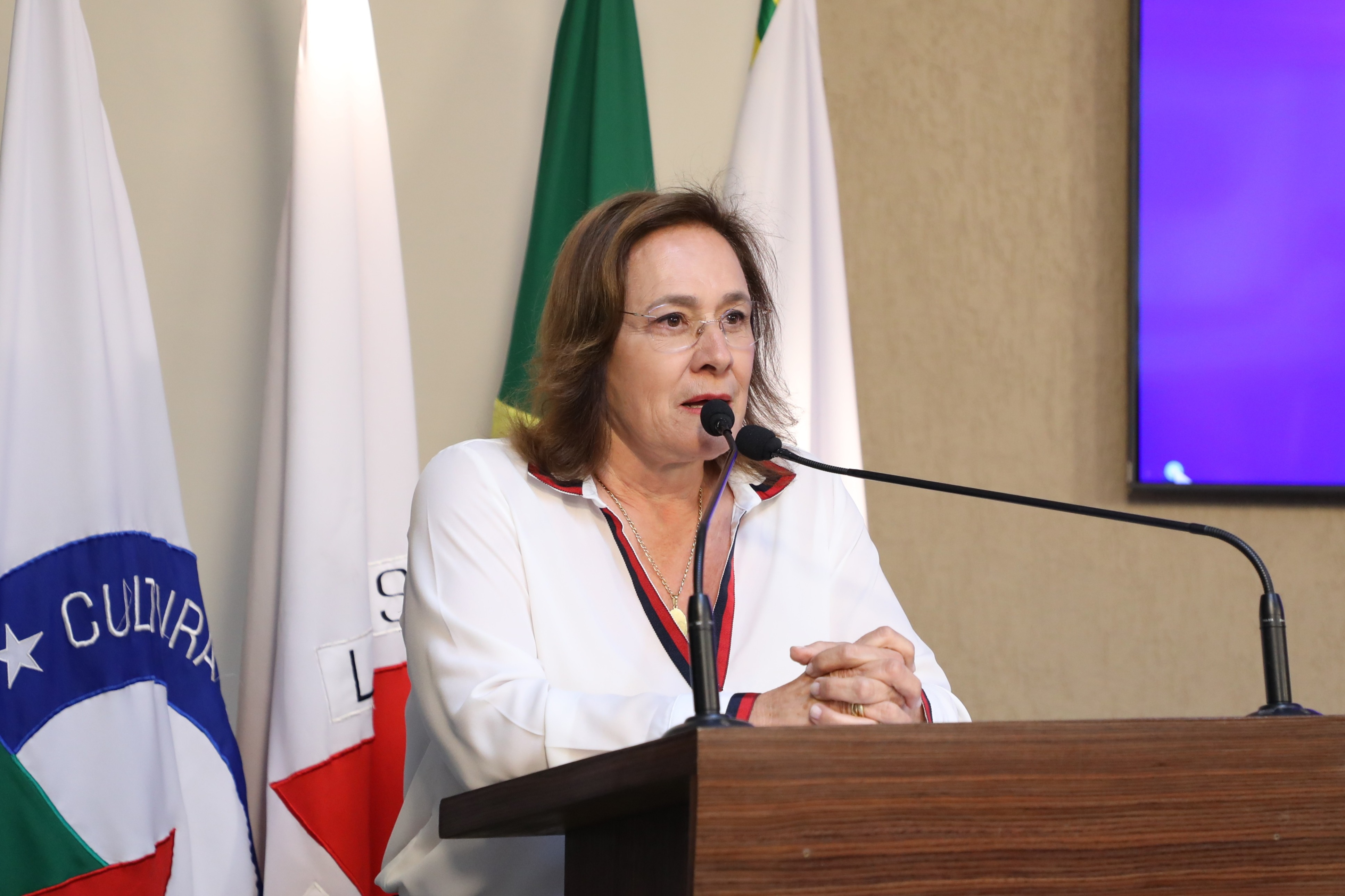 Vereadora Vanja Honorina (UNIÃO)