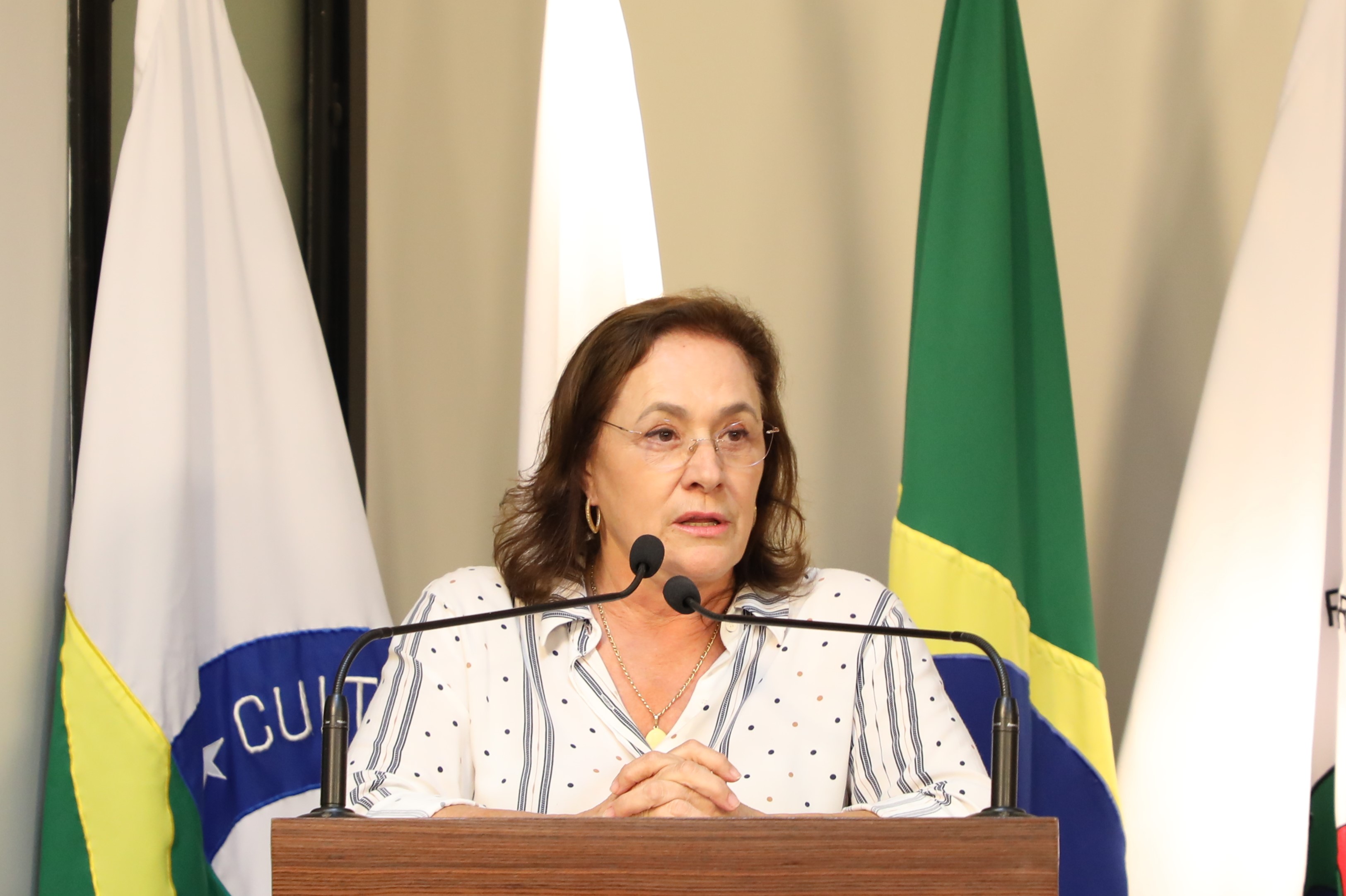 Vereadora Vanja Honorina (União)