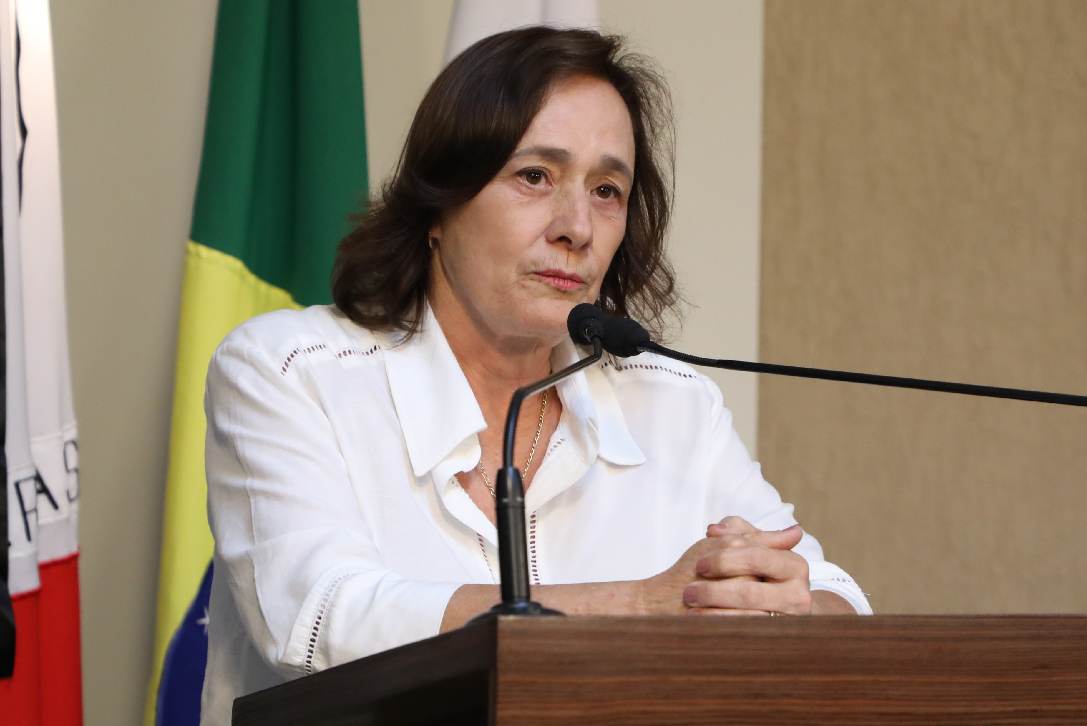 Vereadora Vanja Honorina (União)