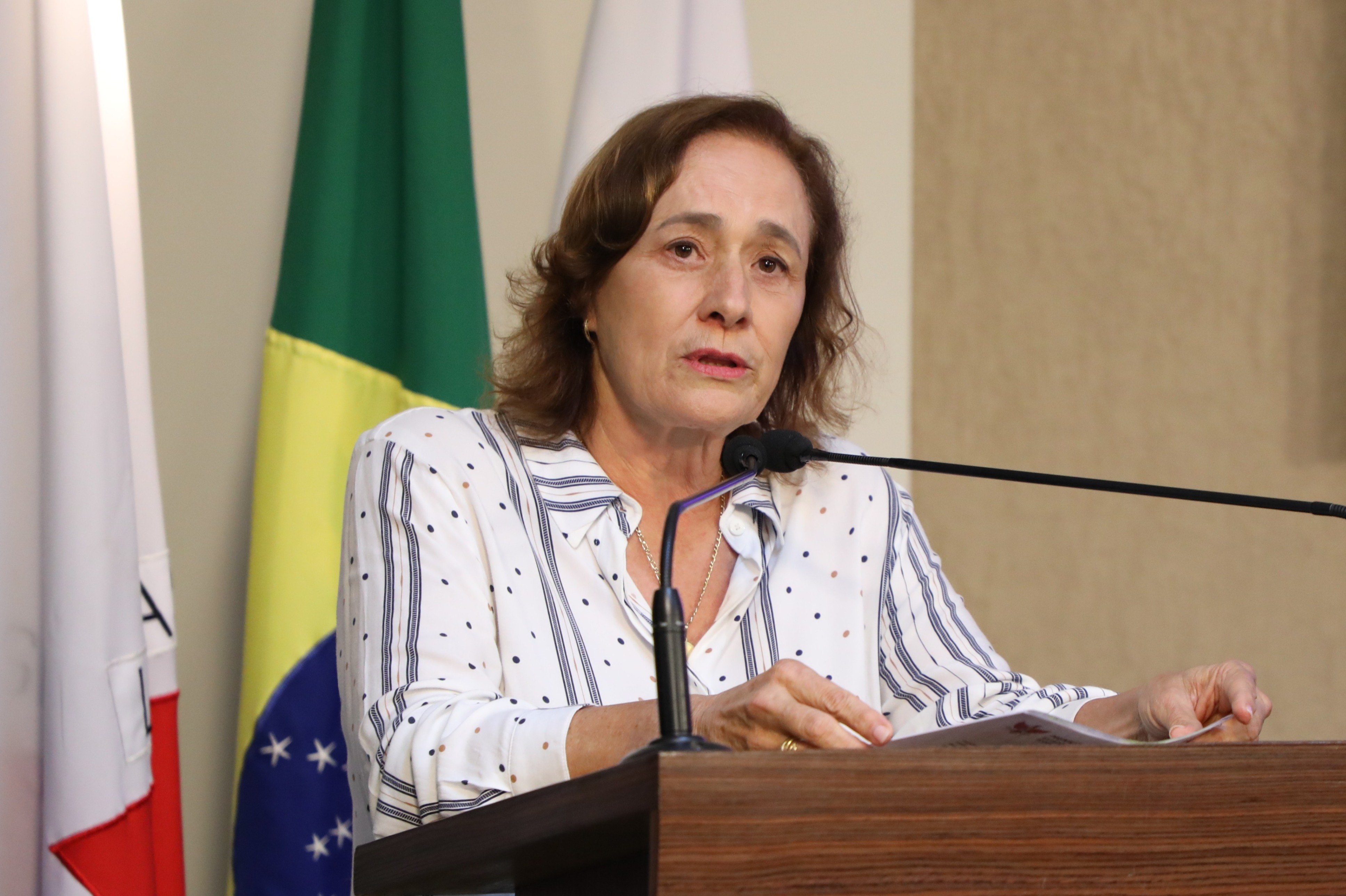 Vereadora Vanja Honorina (União)