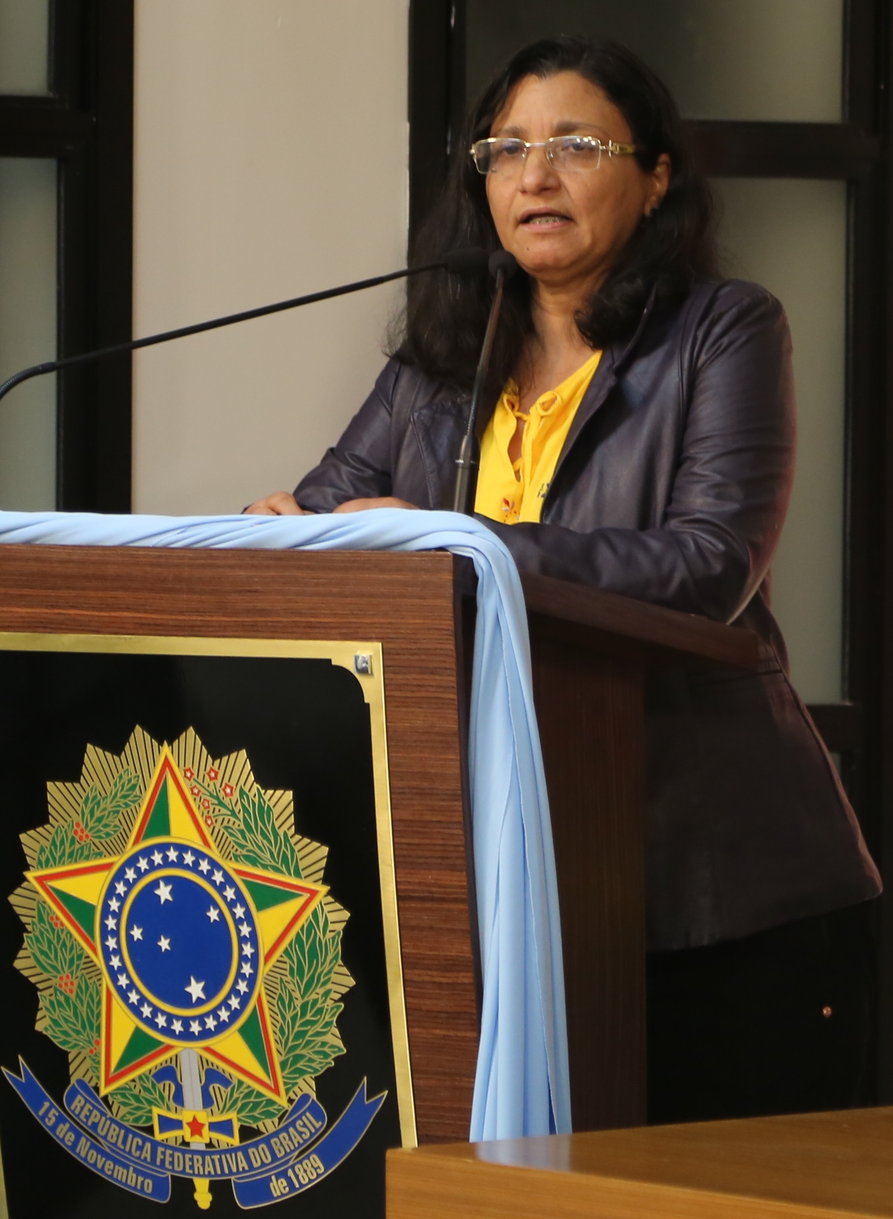 Curso de Serviço Social é abordado em reunião Ordinária