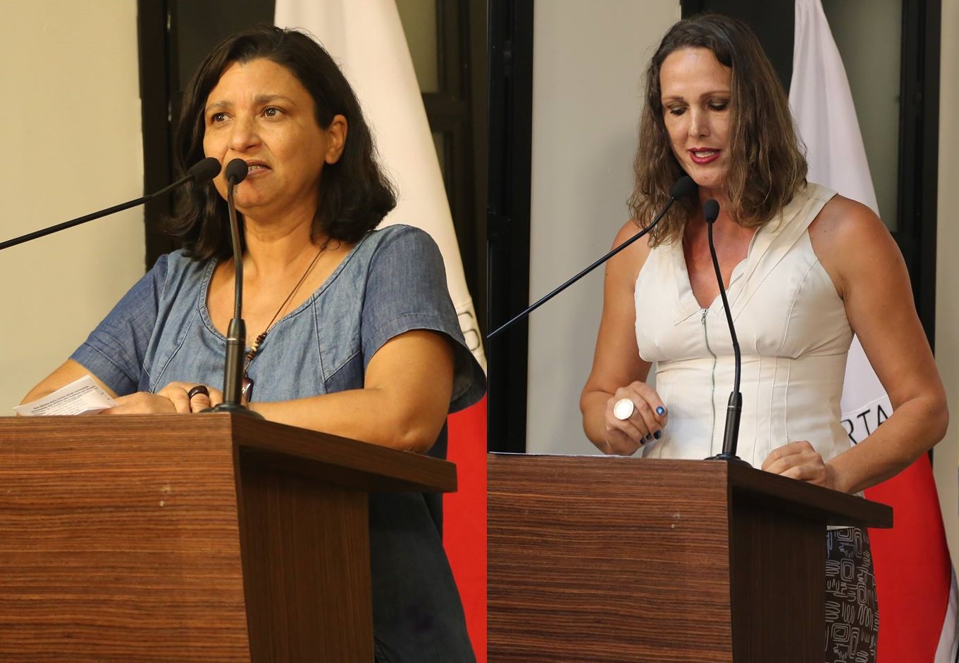 Dia Internacional da Mulher ganha destaque na Câmara