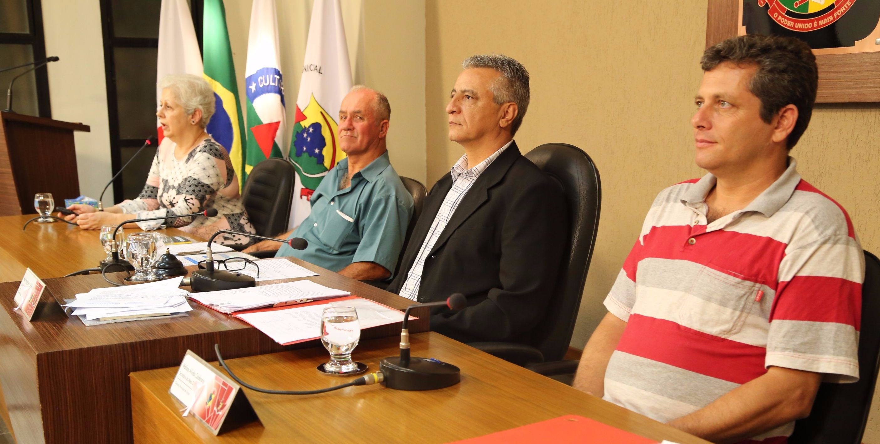 Diretora do MDS fala sobre Cidade Amiga do Idoso