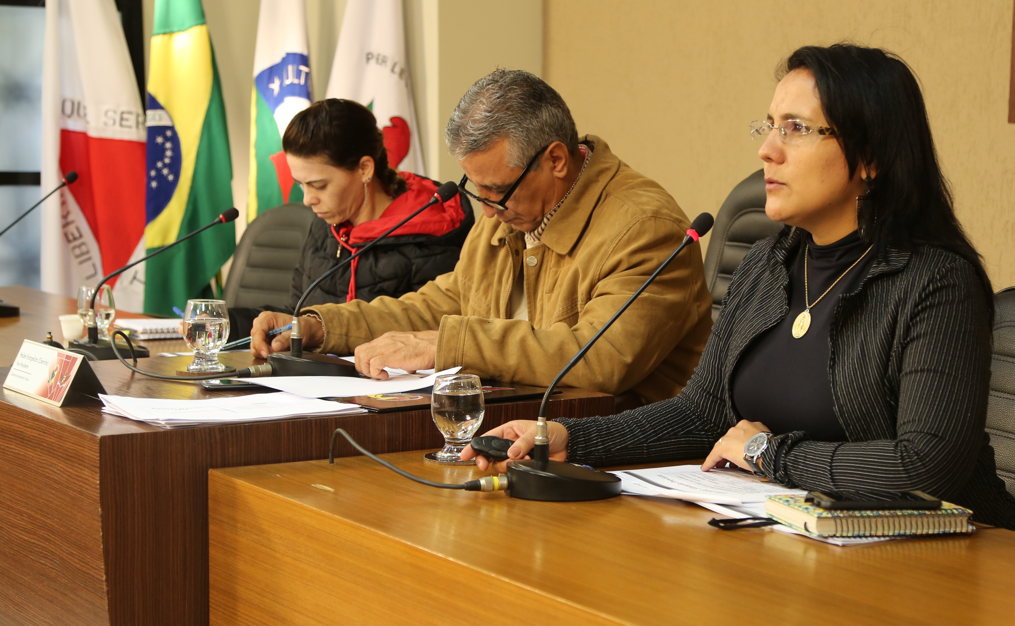 Audiência Pública de Prestação de Contas é realizada na Câmara