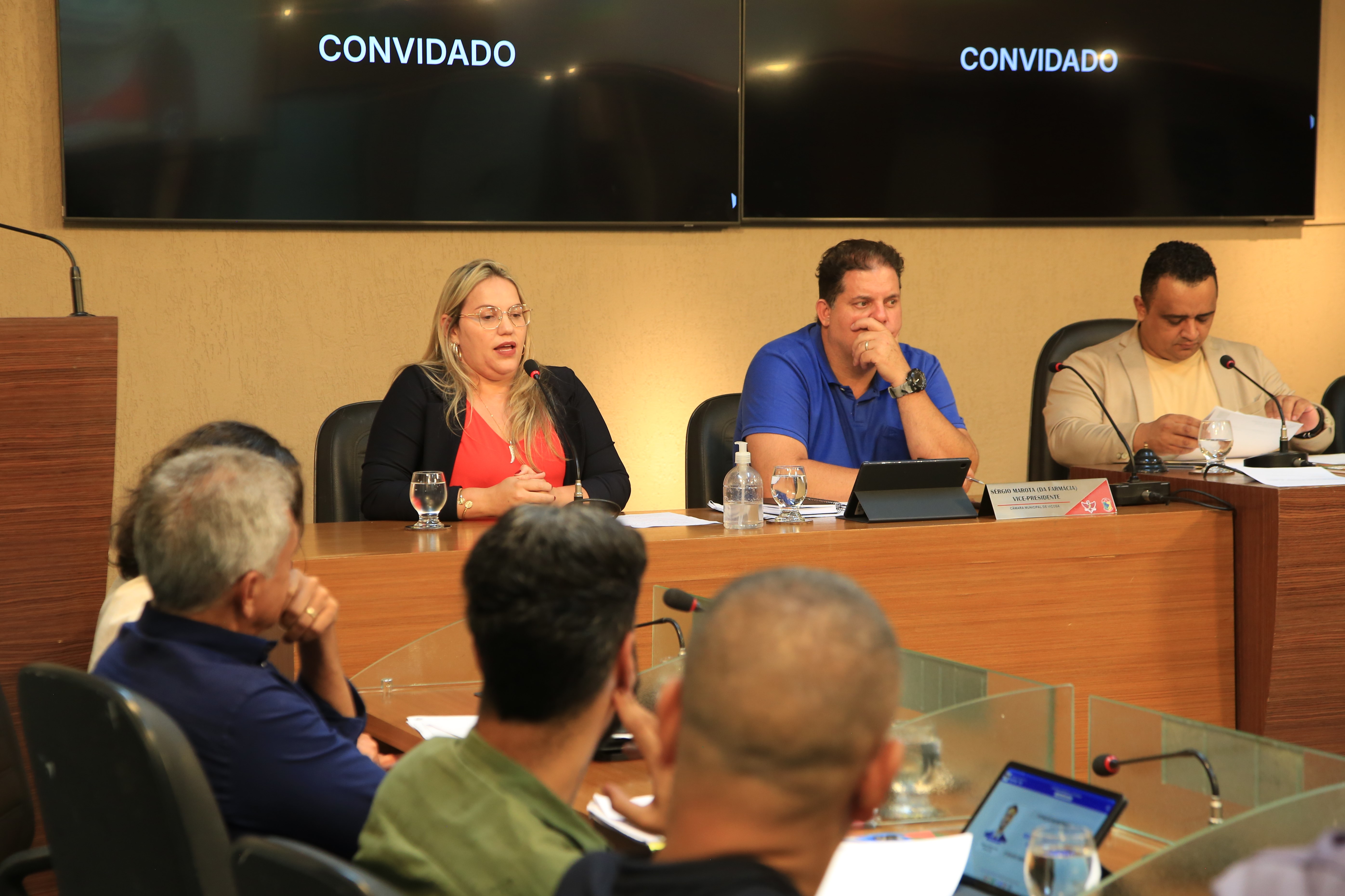 Vereadores discutem responsabilização de donos de terrenos sujos e abandonados