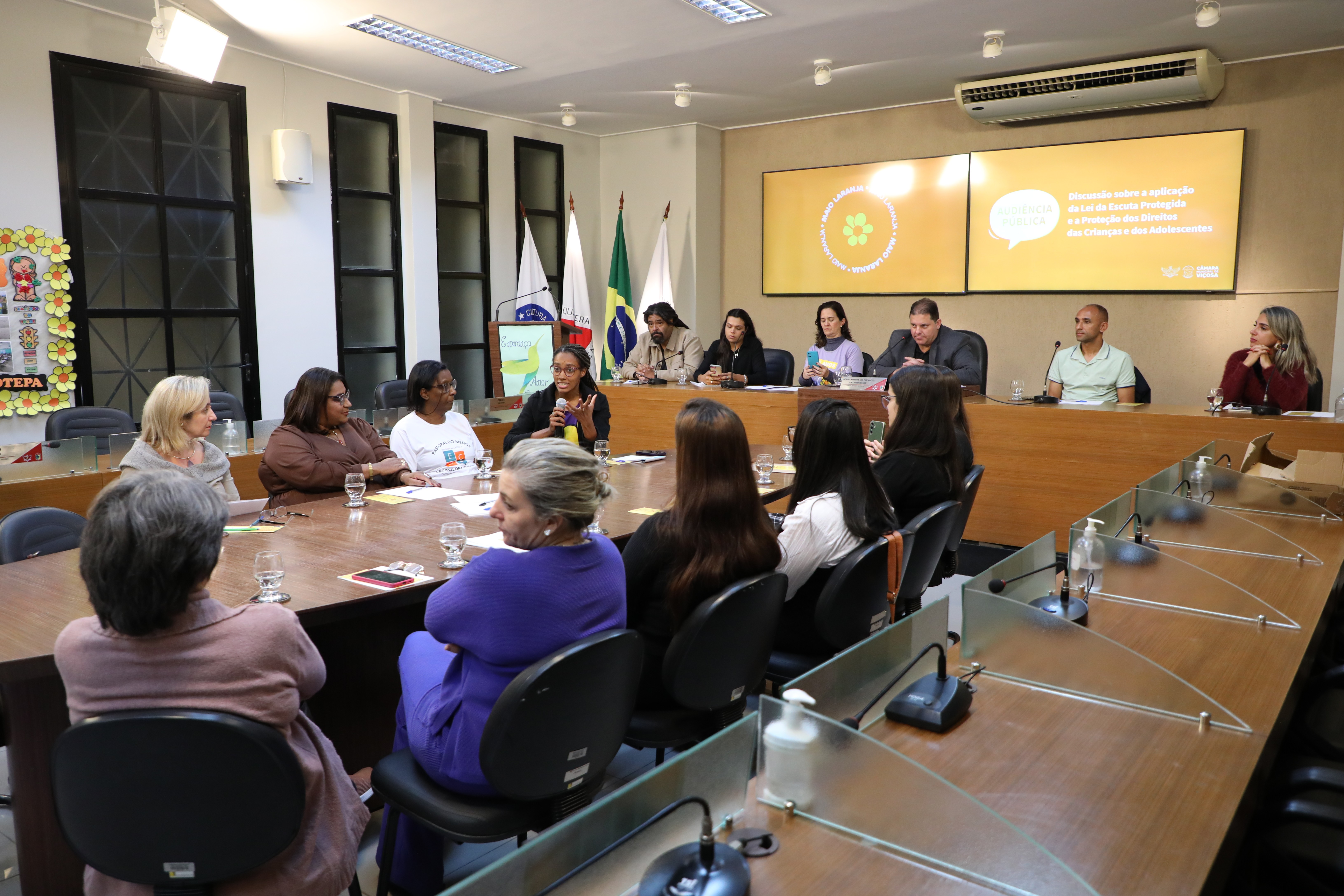 Audiência na Câmara debate Lei da Escuta Protegida e reforça rede de proteção à infância em Viçosa