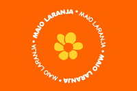 Audiência Pública debaterá a aplicação da Lei da Escuta Protegida em Viçosa