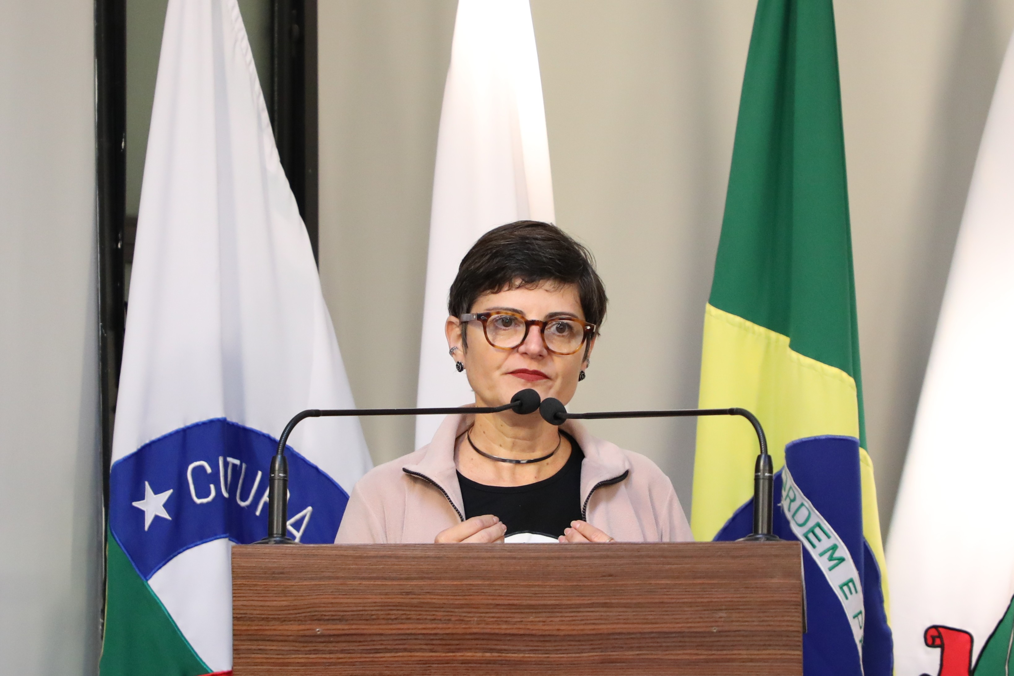 Vereadores reconhecem a expressão ‘vira-lata caramelo’ como manifestação cultural imaterial