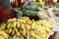 PL do Executivo dispõe sobre a Política Municipal de Segurança Alimentar e Nutricional Sustentável