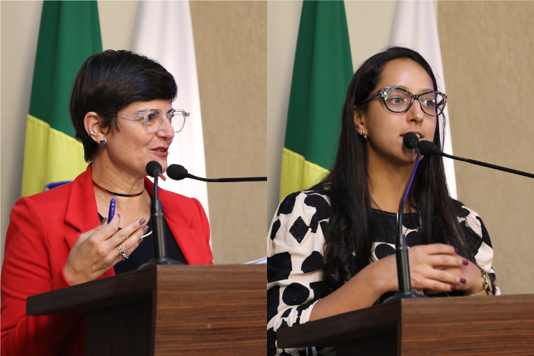 Aprovado o PL que cria programa permanente de combate ao abuso infantil em Viçosa