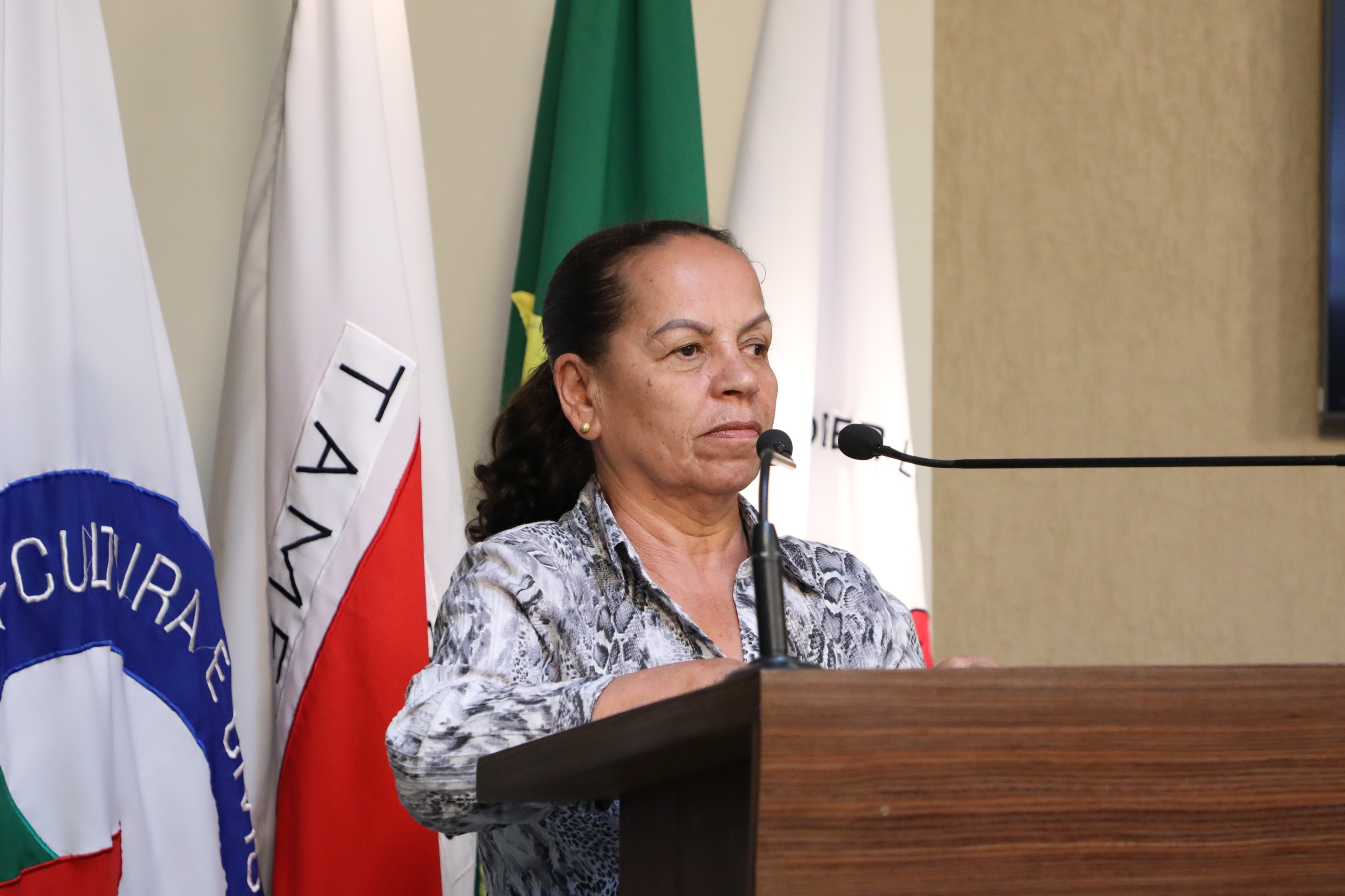 Audiência Pública irá debater a criação do Programa “Calçamento Popular” no município