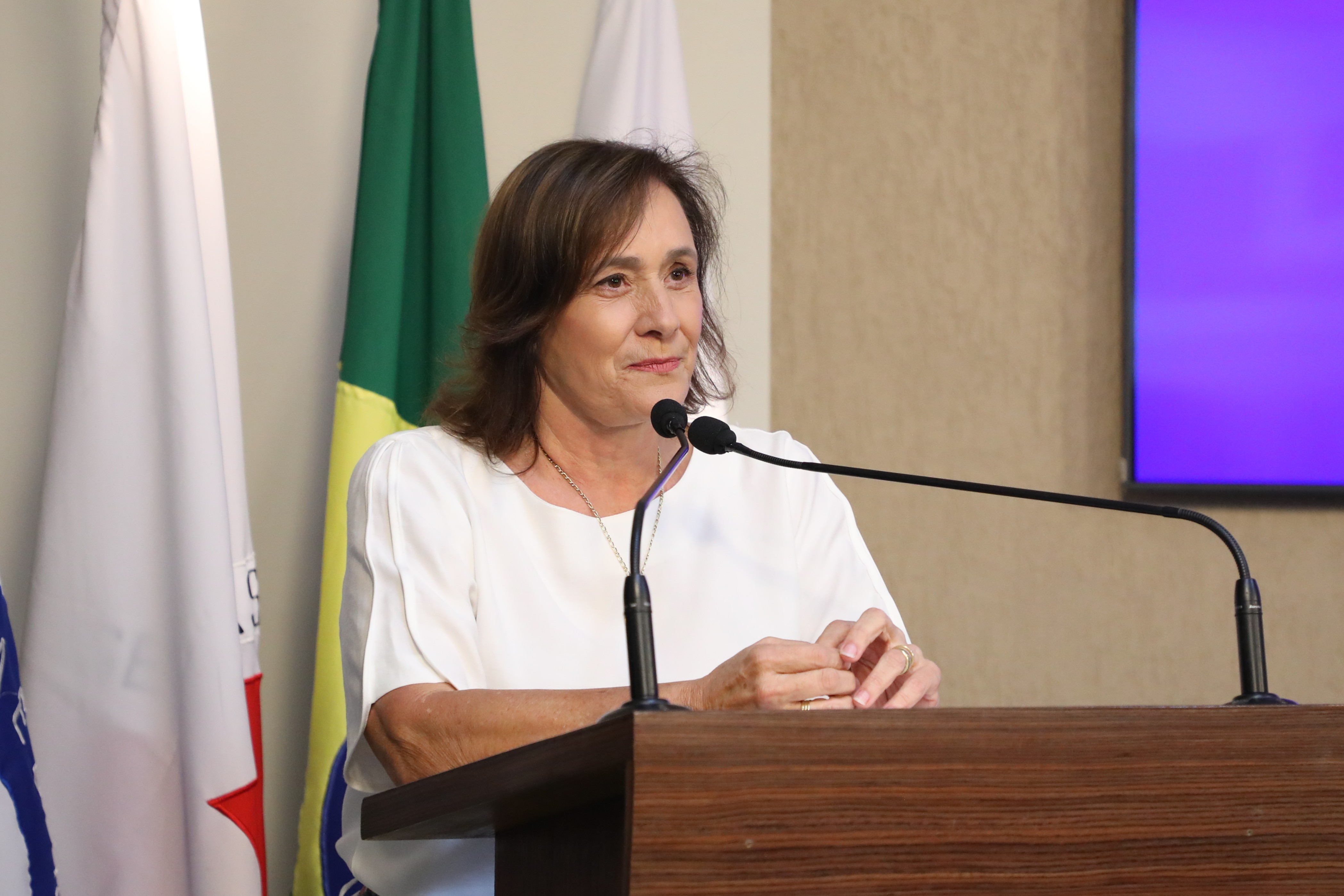 Câmara aprova mudanças nas datas do Dia e da Festa do Doce de Leite