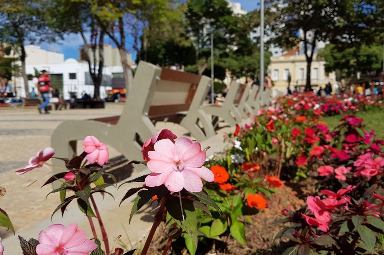 Aprovado o PL que transfere Departamento de Parques e Jardins para a Secretaria de Meio Ambiente