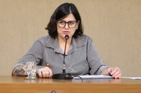 Coordenadora do CEAE apresenta funcionamento da unidade durante reunião da Câmara
