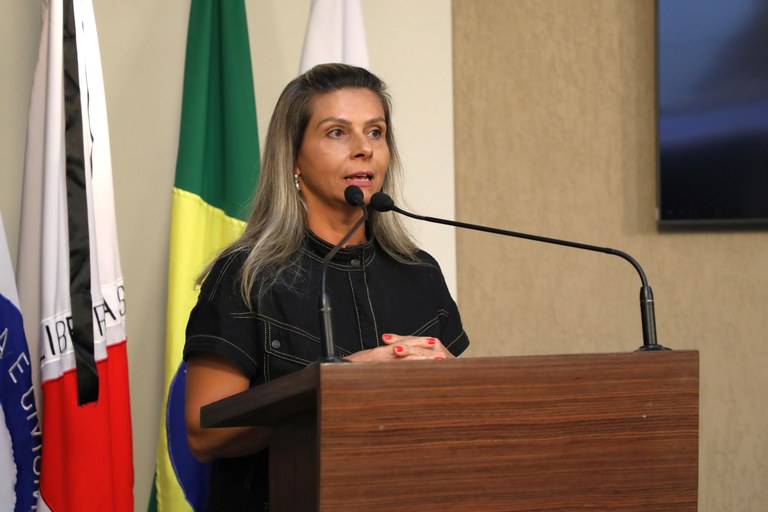 Projeto que endurece punições contra pichação é defendido na tribuna