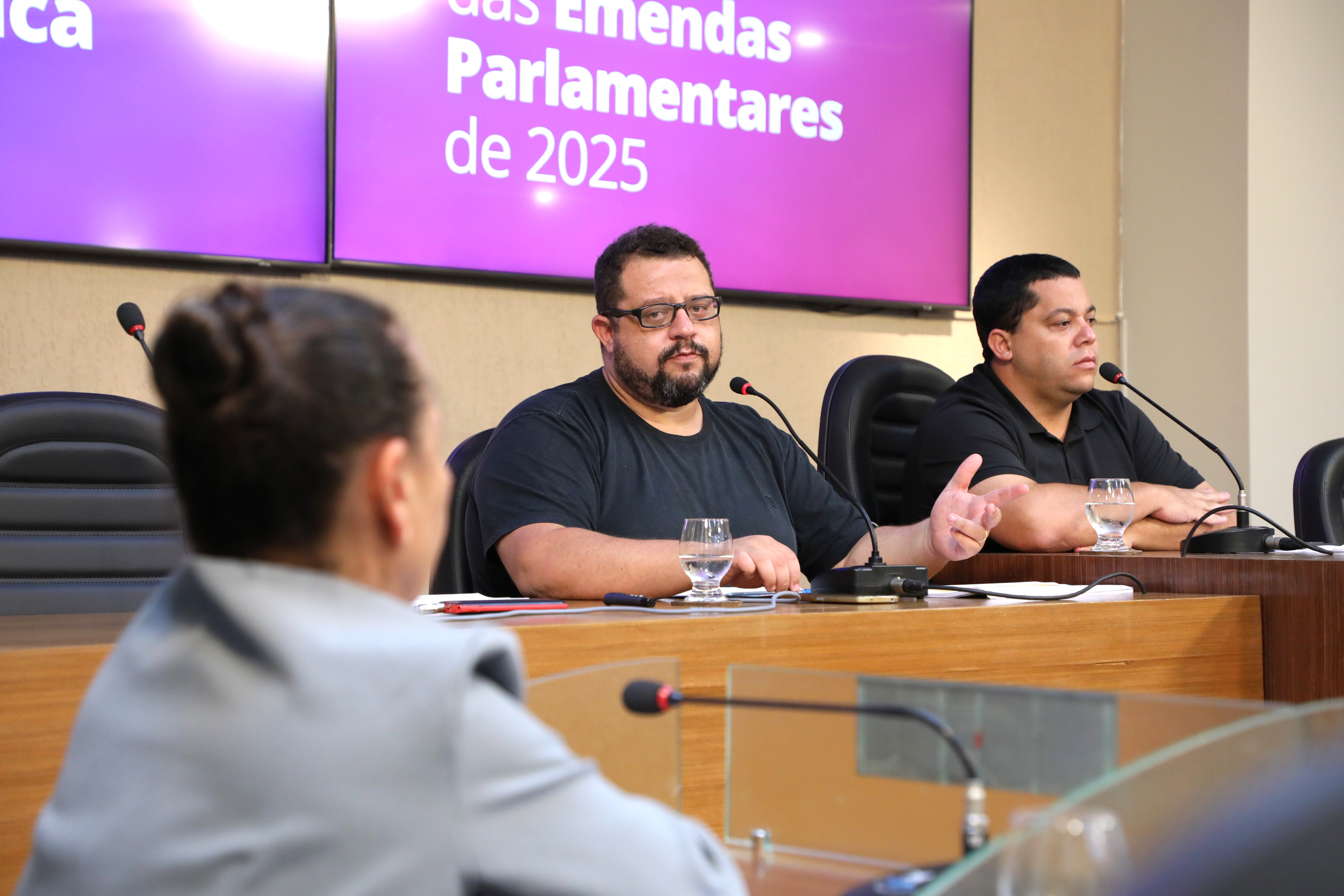 Audiência pública detalha mais de R$ 35 milhões em recursos destinados a Viçosa em 2025