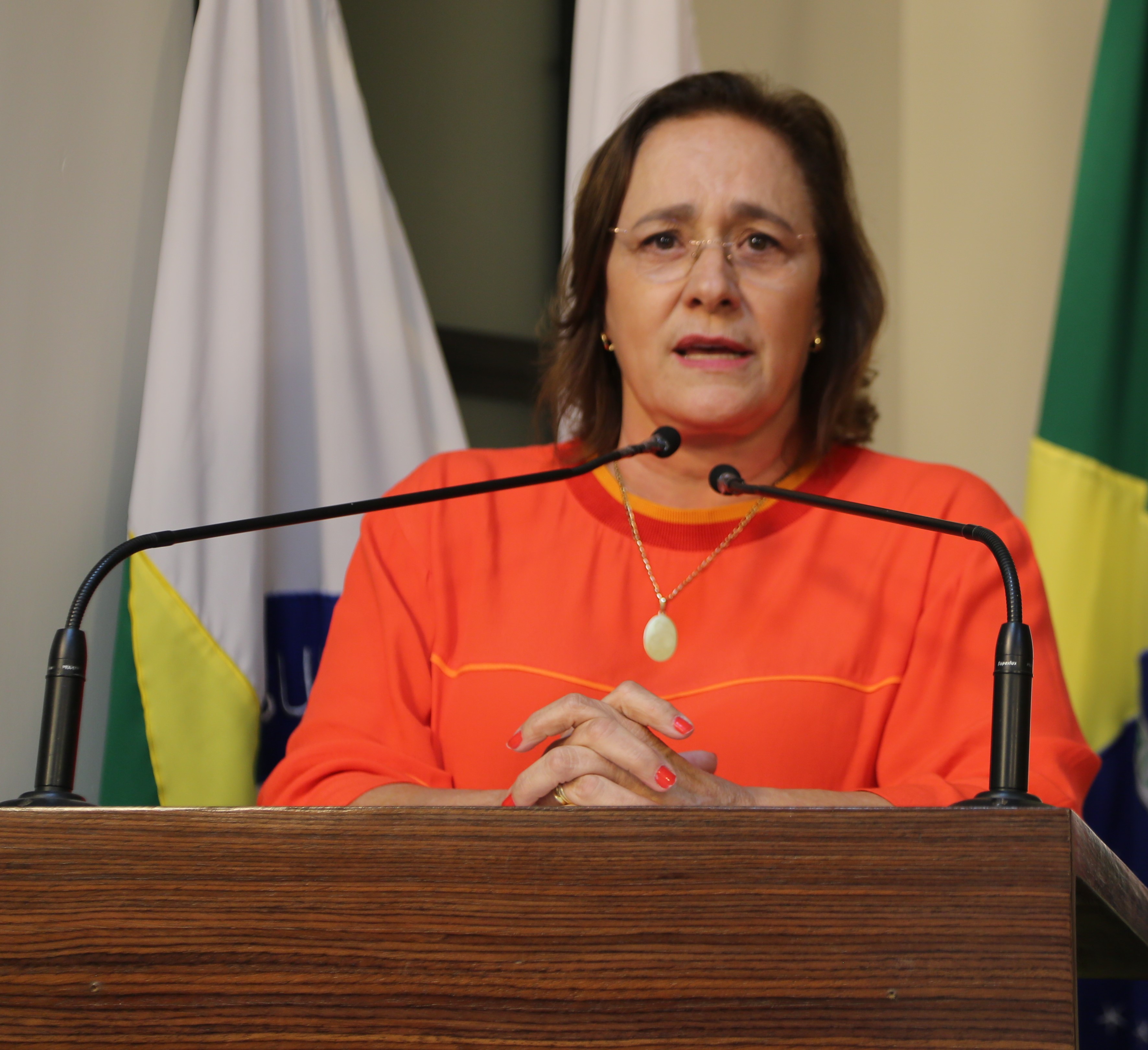 Vereadora Vanja Honorina (PSD) Presidente da Comissão de Abastecimento, Indústria, Comércio e Defesa do Consumidor