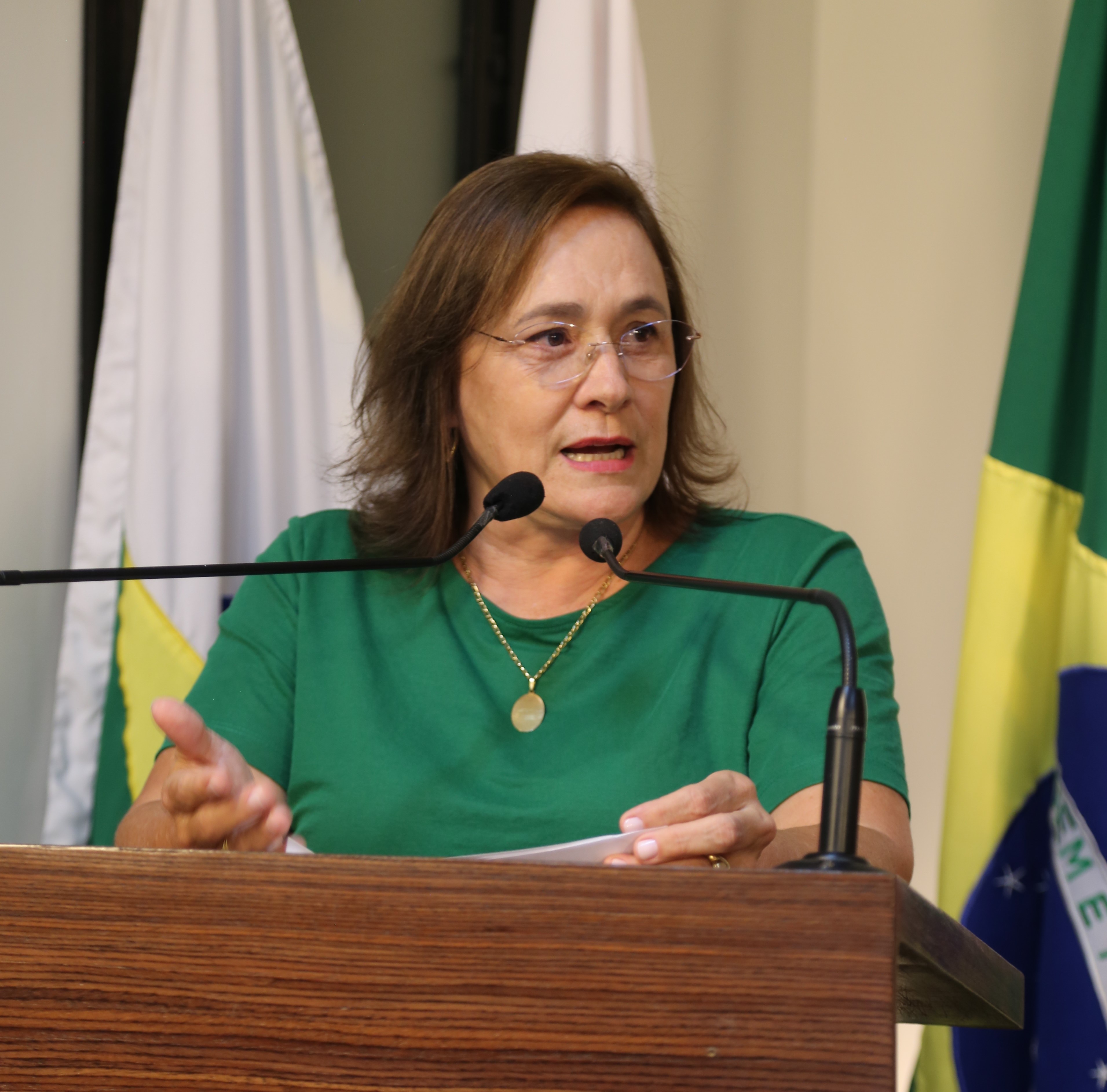 Vereadora Vanja Honorina (PSD) Presidente da Comissão de Abastecimento, Indústria, Comércio e Defesa do Consumidor