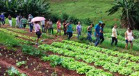 Vereador participa de Dia de Campo