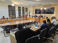Câmara aprova subsídio para reduzir tarifa do transporte coletivo em Viçosa