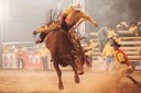 Audiência hoje na Câmara debate projeto sobre autorização de rodeios em Viçosa