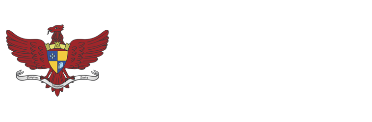 Câmara Municipal de Viçosa - MG